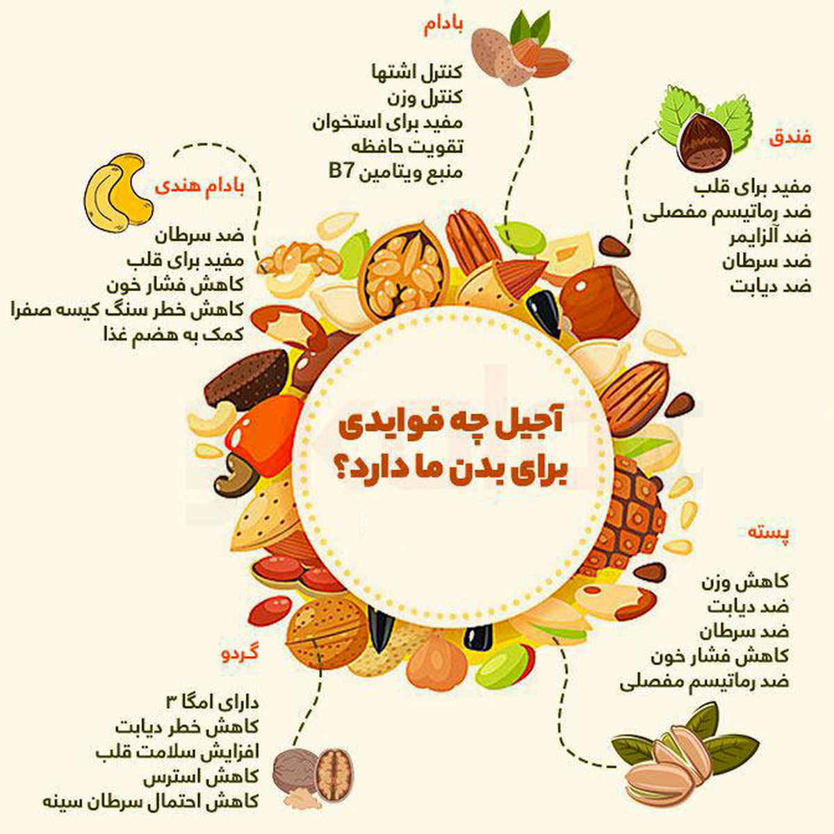 آجیل چه فوایدی برای بدن دارد؟
