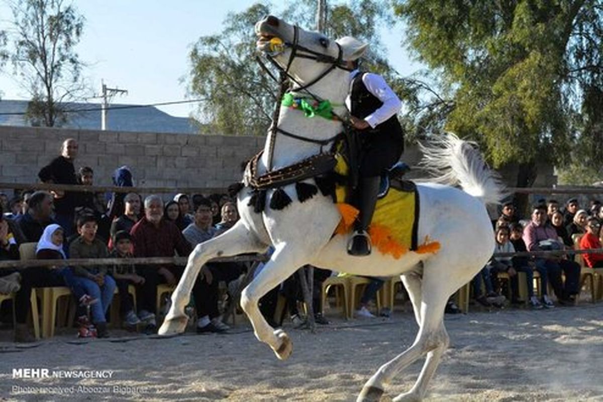 تصاویر: گردهمایی اسب‌داران و سوارکاران در لارستان