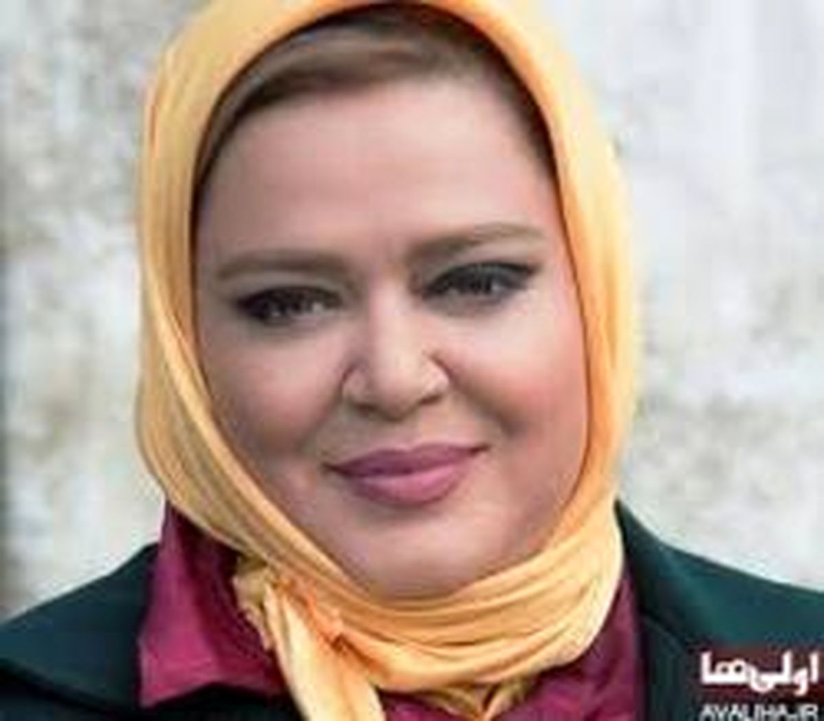 بهاره رهنما سفیر شد +عکس