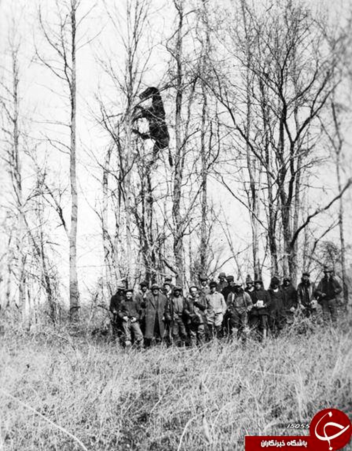 عکس: وقتی گردباد اسب را بالای درخت برد!